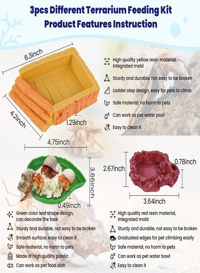 NestBasics 5 Pack Hermit Crab Water Pool Hermit Crab Food Bowl Dish Reptile Terrarium Water Bowls Reptile Starter Kits Accessories for Hermit Crab Leopard Gecko Frog Spider Lizard Turtle Bearded Dragon etc - Image 5